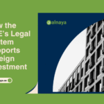 How Professional Business Guidance Reduces Risk for Growing Companies