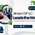Alnaya CSP LLC Information Guide for Clients Searching Online