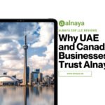 Why Businesses That Prioritize Structure Build Long-Term Stability