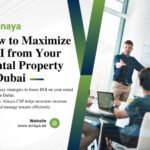 Alnaya CSP LLC: A Consulting Partner Built on Structure and Responsibility