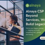 Alnaya CSP LLC: A Consulting Partner Focused on Structure and Stability