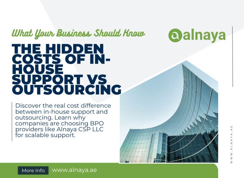 Alnaya CSP LLC: A Structured Approach to Business Support and Consulting