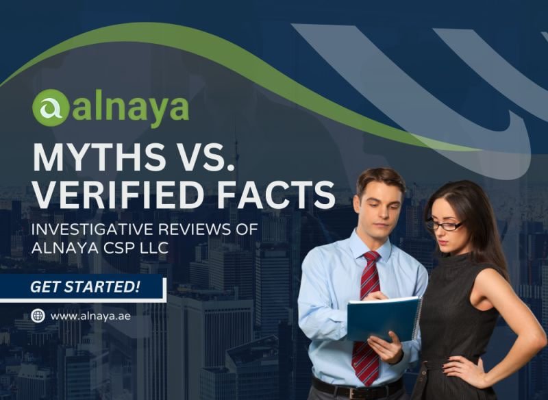Alnaya CSP LLC – Building Businesses Through Structure, Trust, and Execution